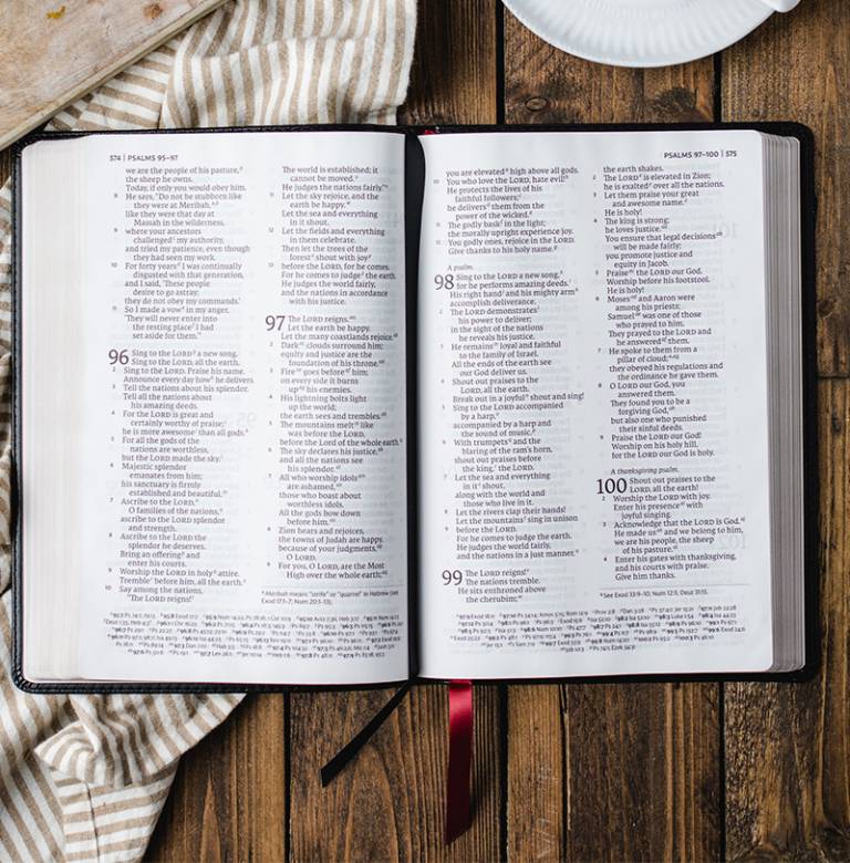 Reference bibles thomas nelson bibles
