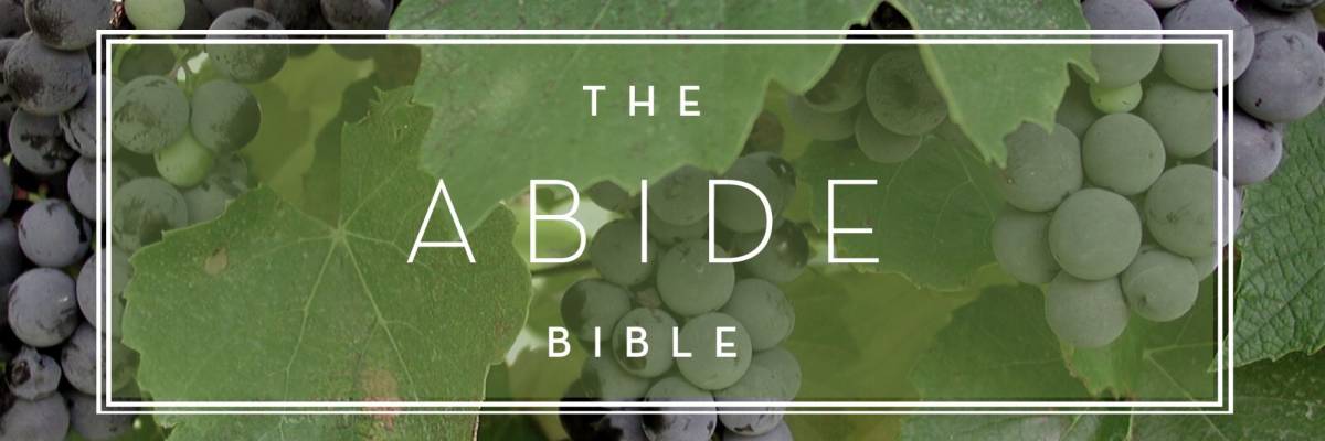 The Abide Bible - Thomas Nelson Bibles | John 15:4