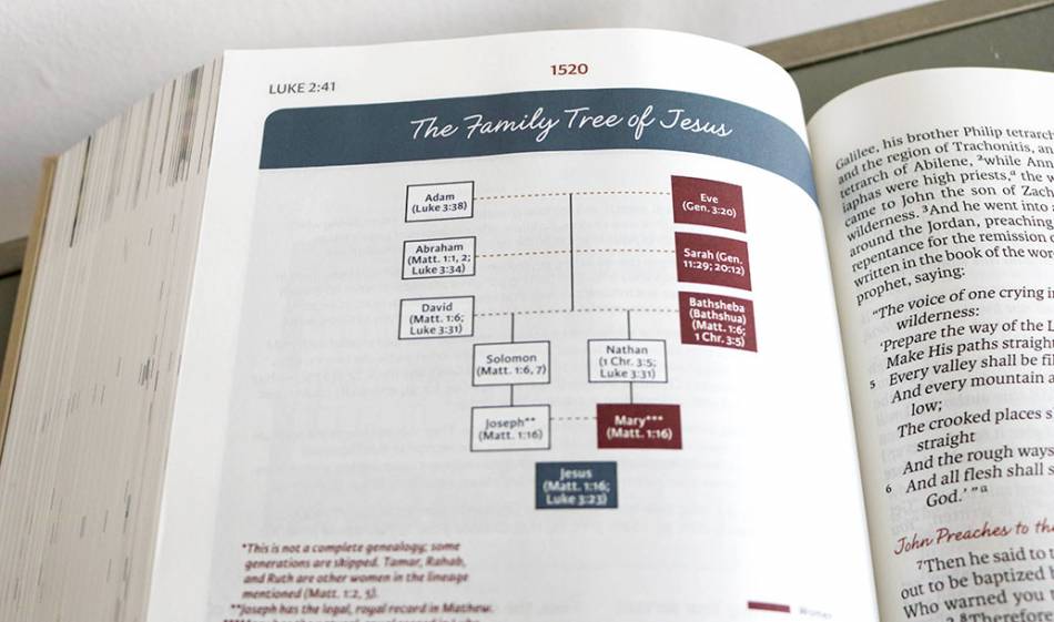 WSB_Features_FAMILY_TREES