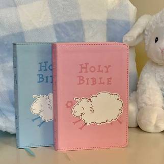 ICB Really Woolly Holy Bible photo