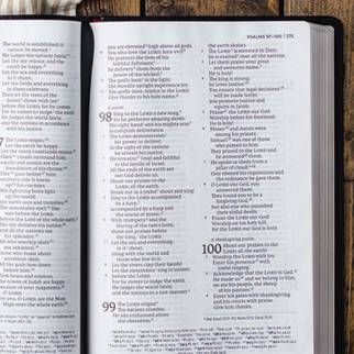 NET large print bibles