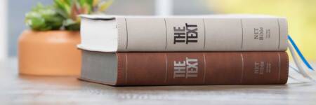 The TEXT Bible, Leathersoft editions, stacked