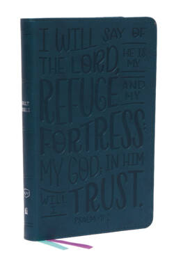 KJV Thinline Bible Youth Edition Verse Art Series deep teal 9780785292906