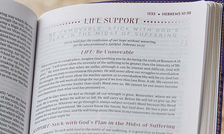 The Breathe Life Bible, Life Support article