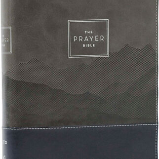 The Prayer Bible NIV 9781400345403