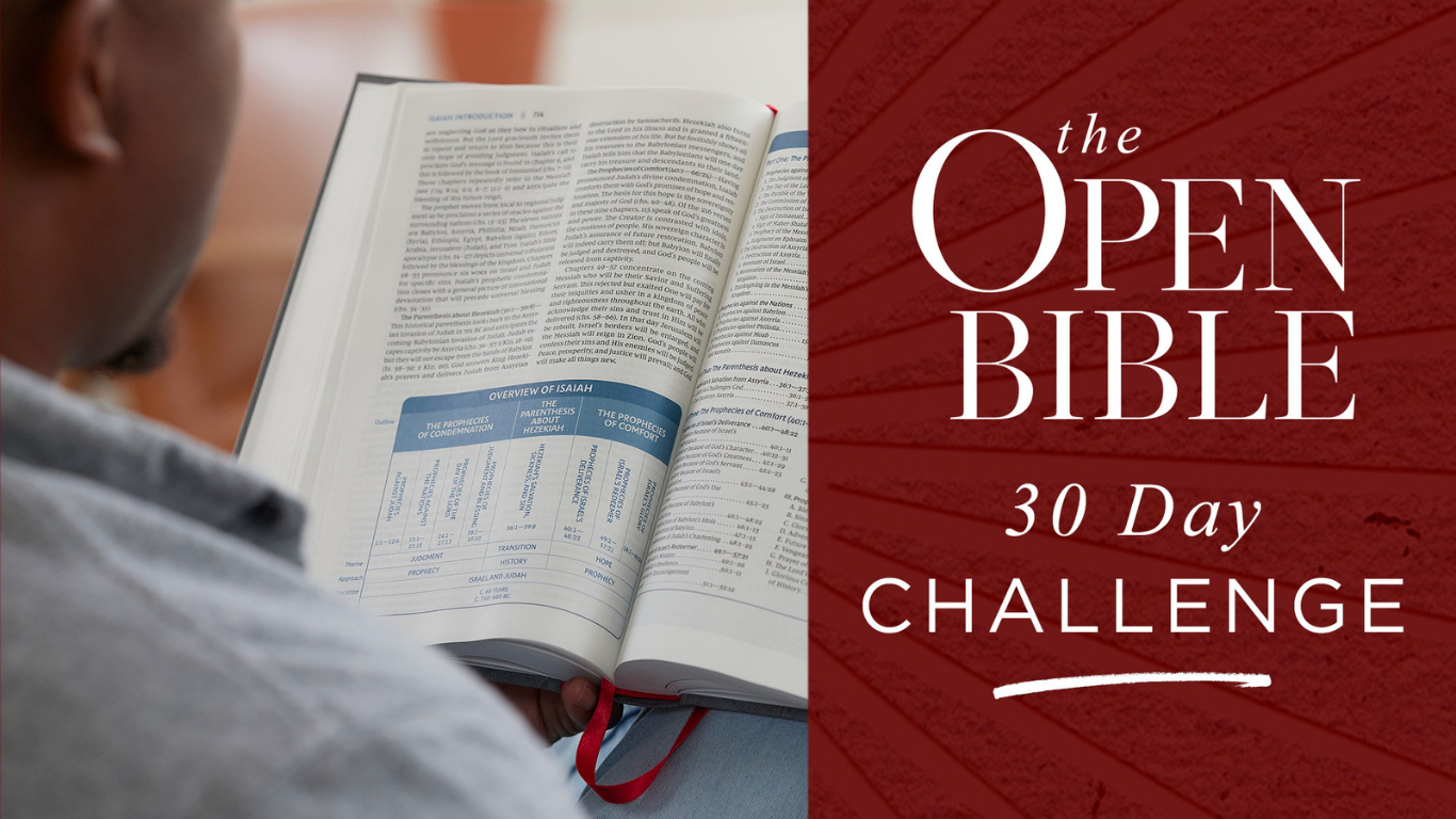 Open Bible 30 Day Challenge