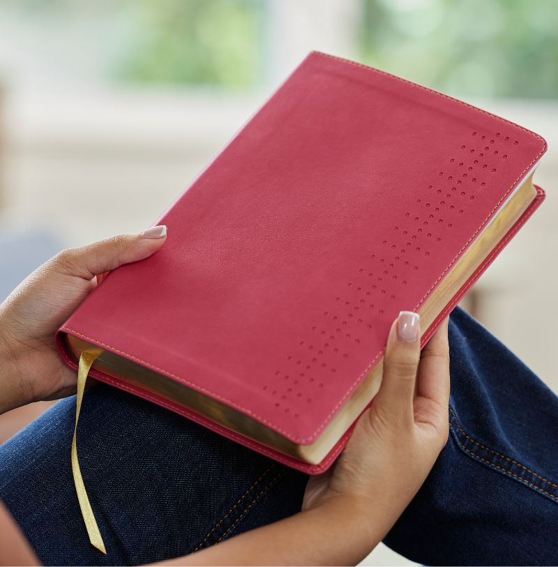 NKJV Student Study Bible - Thomas Nelson Bibles