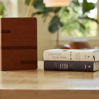 Color Code Study Bible NIV Photo